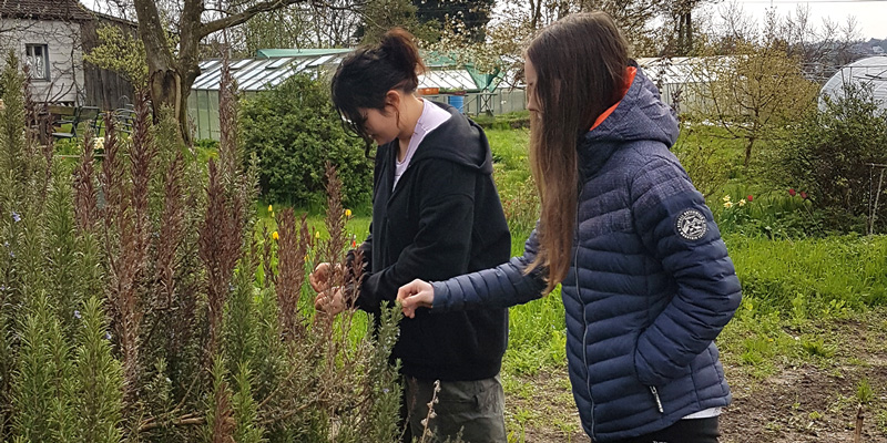 Leisenhof_Bild-im-Beitrag